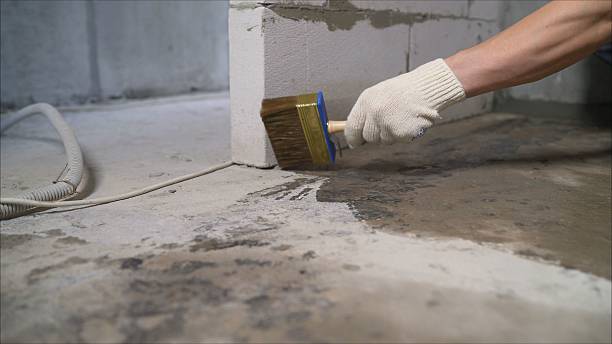 SJ Waterproofing Pros Crawl Space Encapsulation coverage map for Brant, NY and surrounding area